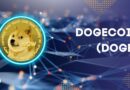 Dogecoin Nedir ve Nasıl Alınır? İşte DOGE’nin Ortaya Çıkış Hikayesi