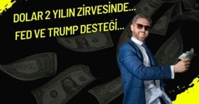 Dolar, 2 Yılın Zirvesine Ulaşarak Küresel Gücünü Artırıyor!