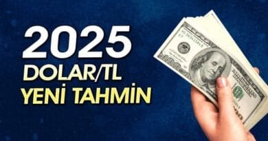 Dolar/TL 2025’in Sonunda Ne Kadar Olacak?