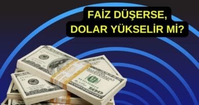 Faiz indirimi öncesinde dolar almak mantıklı mı? Ünlü isimden cevap geldi