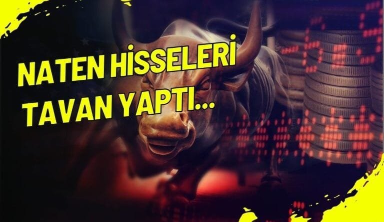 NATEN Hisseleri Enerji Teknolojisi Yatırımı ile Zirveye Ulaştı!
