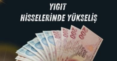 Yiğit Akü (YIGIT) Hisseleri Gayrimenkul Satın Alımıyla Büyük Bir Artış Gördü