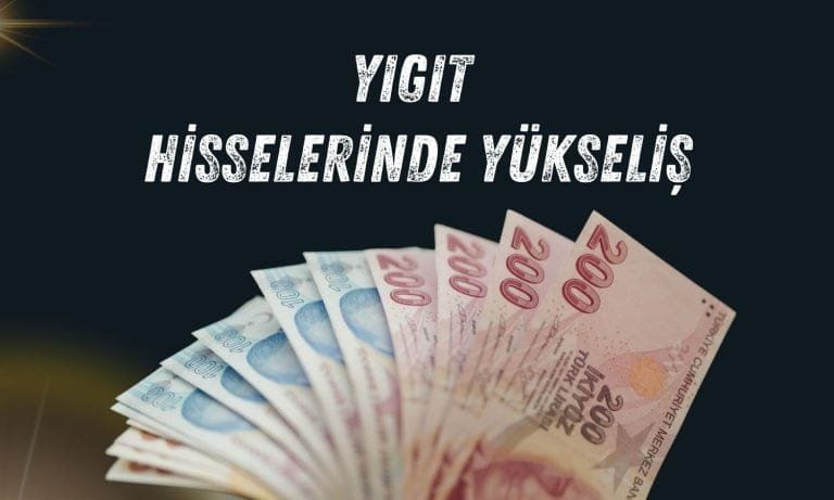 Yiğit Akü (YIGIT) Hisseleri Gayrimenkul Satın Alımıyla Büyük Bir Artış Gördü