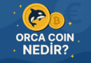 Orca Coin Nedir?