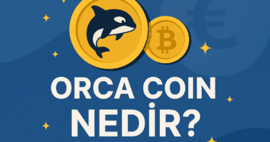 Orca Coin Nedir?