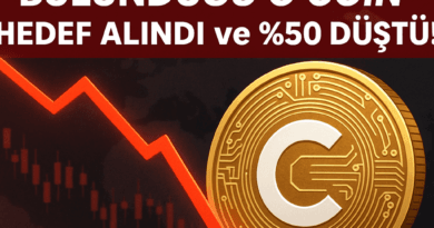 Türk Yatırımcıların da Bulunduğu O Coin Hedef Alındı ve %50 Düştü!