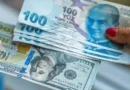 Döviz Mevduatları Tekrar Artış Gösterdi