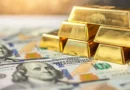 Merkez Bankası’nın Rezervlerinde 4,9 Milyar Dolar Artış Sağlandı