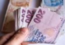 Ağustos Ayında En Yüksek Kazancı Yakalayan Yatırım Aracı Belirlendi