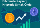 Türkiye’nin Kripto Haritası: Bitcoin’de Kayseri, Kriptoda Şırnak Önde