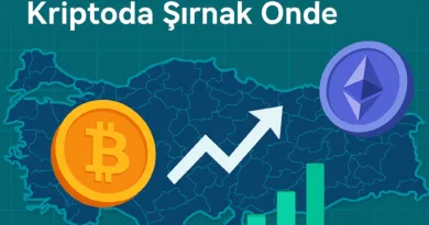Türkiye’nin Kripto Haritası: Bitcoin’de Kayseri, Kriptoda Şırnak Önde